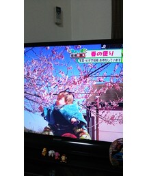 テレビ | その他