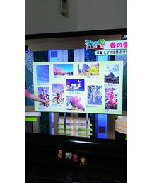 テレビ | その他