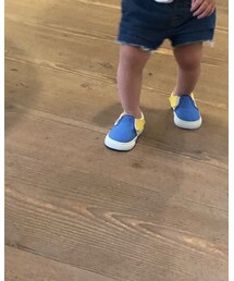 VANS | スリッポン