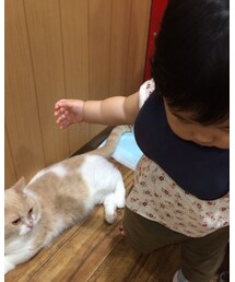 babyGAP | ロンパース