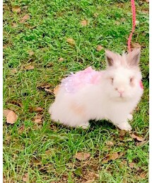 きずも | その他