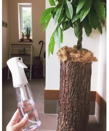 霧吹き‼︎ | その他