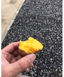 完成🍠 | その他