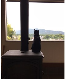 晴れたにゃー😺 | その他