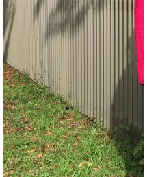 TOMORROWLAND | ワンピース