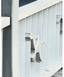 Lenabrace | ピアス（両耳用）