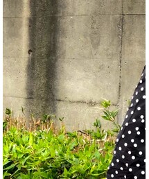 ARROW | パンツ