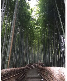 京都(^ω^) | その他
