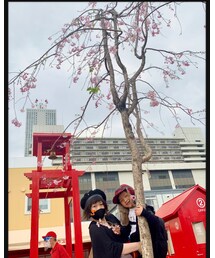 しだれ桜🌸 | その他