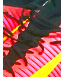 NIKE | その他シューズ