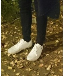 LACOSTE | スニーカー