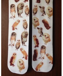 ふくろうタイツ | ホーちゃんシーちゃんタイツ(タイツ/ストッキング)