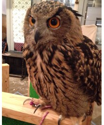 ♡ユウタ♡ | その他