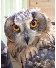 ♡サスケ♡ | その他