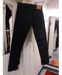 BURGUS PLUS | BURGUS PLUS　Lot.744 Stretch Skinny Pants(その他パンツ)