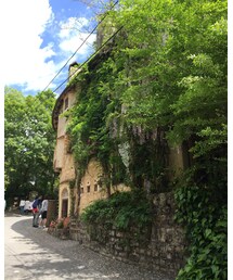 ぬくもりの森 | その他