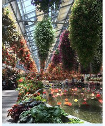 なばなの里 | その他