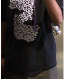 STUSSY | Tシャツ/カットソー