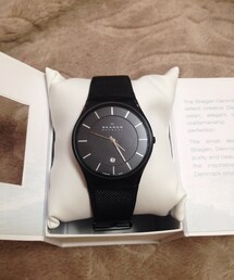 SKAGEN(アナログ腕時計)