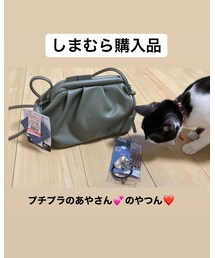 しまむら | バッグ
