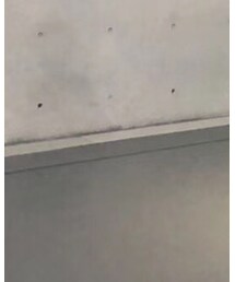 MAISON DE REEFUR | Tシャツ/カットソー