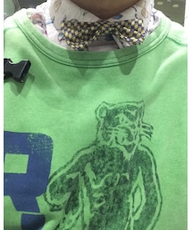 used | 蝶ネクタイ