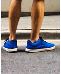 VANS | スニーカー