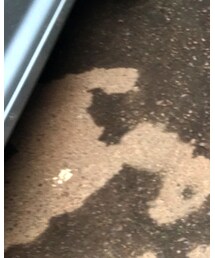 Right-on | メガネ