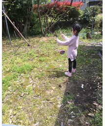 くさやぶあそび | その他