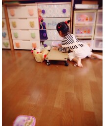 最強のなで肩 | その他