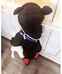 バックスタイル | その他