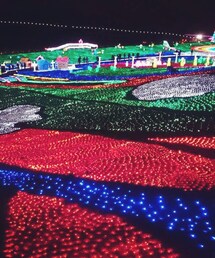 イルミネーション | ドイツ村ヾ(＠⌒ー⌒＠)ノ(福袋/福箱)