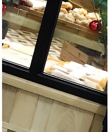 HEAD PORTER PLUS | スウェット