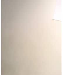 AMERICANA | Tシャツ/カットソー