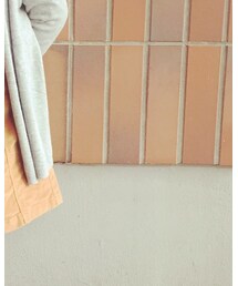 ZARA | スカート