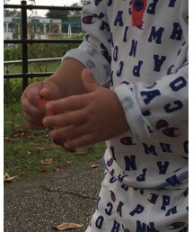 Champion | Tシャツ/カットソー