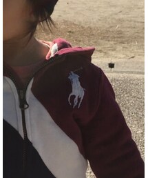 POLO RALPH LAUREN | パーカー