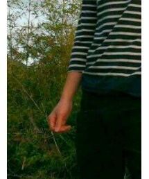 UNIQLO | デニムパンツ