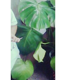 LAGOM | トップス