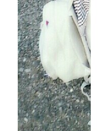 世界のしまむらchampion  | バッグ