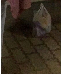 ZARA | チノパンツ