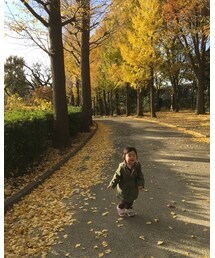 いちょう並木のセレナーデ | その他