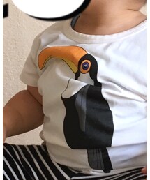Mini Rodini | Tシャツ/カットソー