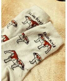 BEAMS BOY | ソックス/靴下