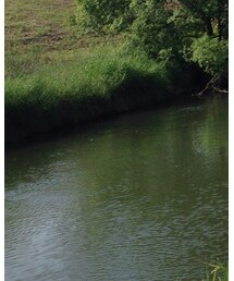 久留米 | その他