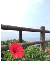 千々石展望台 | その他