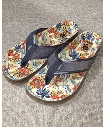VANS | ビーチサンダル