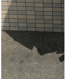 NIKE | ソックス/靴下