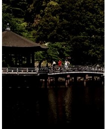 MAJESTIC | Tシャツ/カットソー