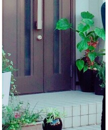 知的ガール風💓 | トップス